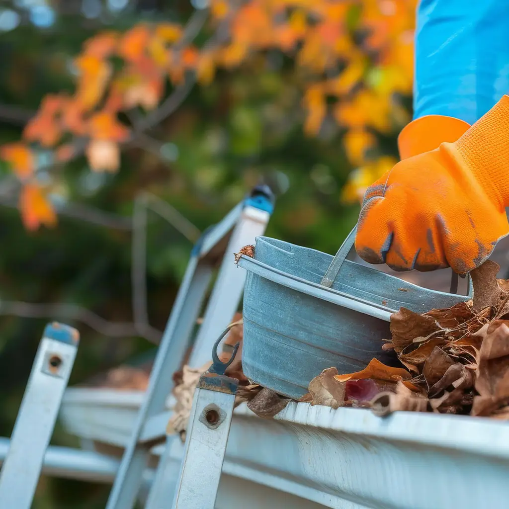 Gutter Clean Up